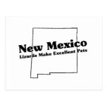 New Mexico State Slogan Postcard