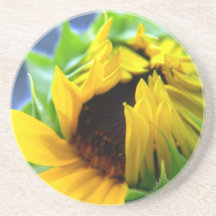 New Mexico Sunflower Drink Coasters