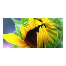 New Mexico Sunflower Photo Card Template