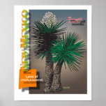 New Mexico yucca map Poster
