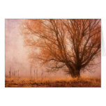 New Morning Card