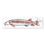 New Native - White Bumper Stickers