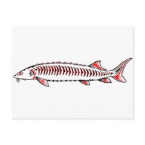 New Native - White Post Card