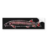 New Native - White Sturgeon Bumper Sticker