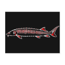 New Native - White Sturgeon Post Cards