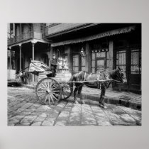 New Orleans Milk Cart: 1903 Poster
