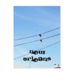 New Orleans postcards