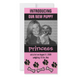 New Pet Adoption Announcement photo cards