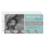 New Pet Adoption Announcement photo cards