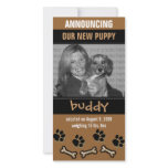 New Pet Adoption Announcement