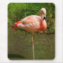 New Pink Flamingo Custom Photograph Mousepad