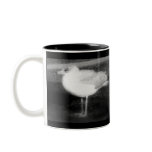 NEW SEAGULL MUG