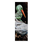 New Species Bookmark Business Card Template