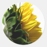 New SunFlower Round Stickers
