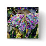 New Year Butterfly, magnet Pinback Button