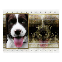 New Year - Golden Elegance - Springer Spaniel Postcard