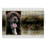 New Years - Golden Elegance - Cocker Spaniel Greeting Card