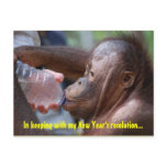 New Year's Resolution Making Time for Fun postcards