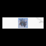 new york ammonite bumper stickers