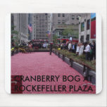 NEW YORK CITY 2007, CRANBERRY BOG AT ROCKEFELLE... mousepads