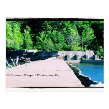 New York Damn Postcard