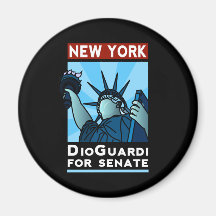New York DioGuardi for Senate Magnets