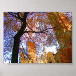 New York in the Fall Print