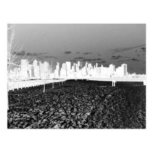 New York Snow Post Cards