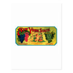 New York State Grapes Postcards