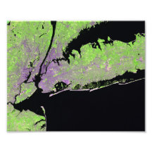 New York, USA Photo Print