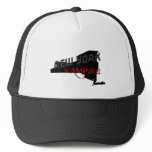 NEW YORK vampire hats