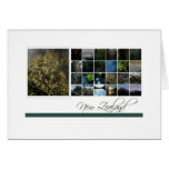 New Zealand cards