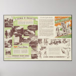 New Zealand Vintage Travel Poster Ad Retro Prints