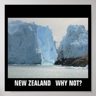 NEW ZEALAND WHY NOT? POSTER