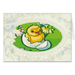 Newborn Chick Easter Card
