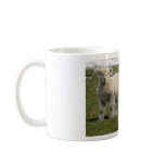 Newborn Lambs mugs
