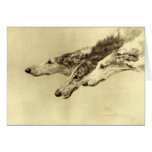 Newcastle Borzoi Cards