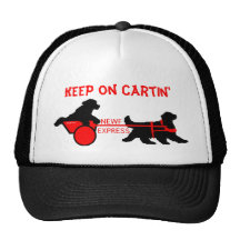 newf express  copy, Keep on Cartin' Mesh Hat