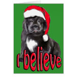 Newf puppy Christmas Cards