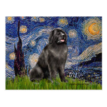 Newfie 2 - Starry Night Postcard