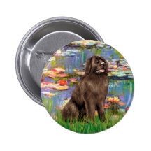 Newfie (brown) - Lilies 2 Pinback Buttons