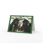 Newfie Christmas cards