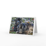 Newfie Holiday Wishes Cards
