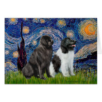 Newfie Pair (B1+L) - Starry Night Card