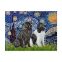 Newfie Pair (B1+L) - Starry Night Postcard