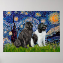Newfie Pair (B1+L) - Starry Night Posters