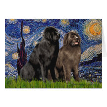 Newfie Pair - Starry Night Greeting Cards