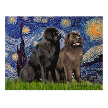Newfie Pair - Starry Night Postcard