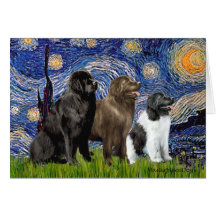 Newfie Trio - Starry Night Cards