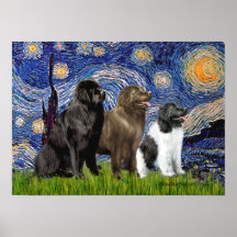 Newfie Trio - Starry Night Print